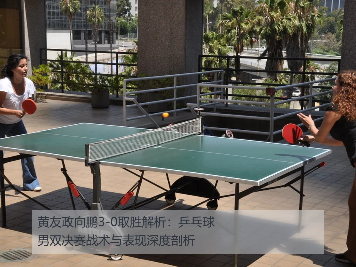 黄友政向鹏3-0取胜解析:乒乓球男双决赛战术与表现深度剖析