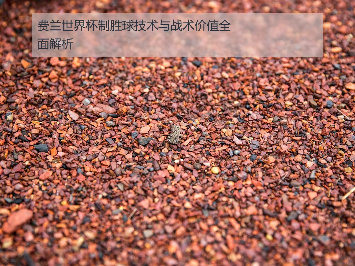 费兰世界杯制胜球技术与战术价值全面解析